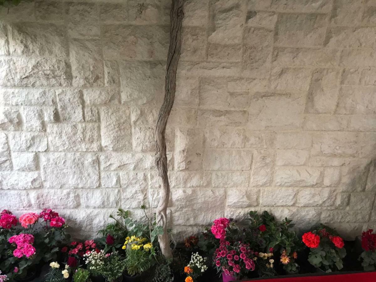 Apartman Crnica Šibenik Buitenkant foto